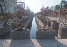 水泥木質混凝土設施基地